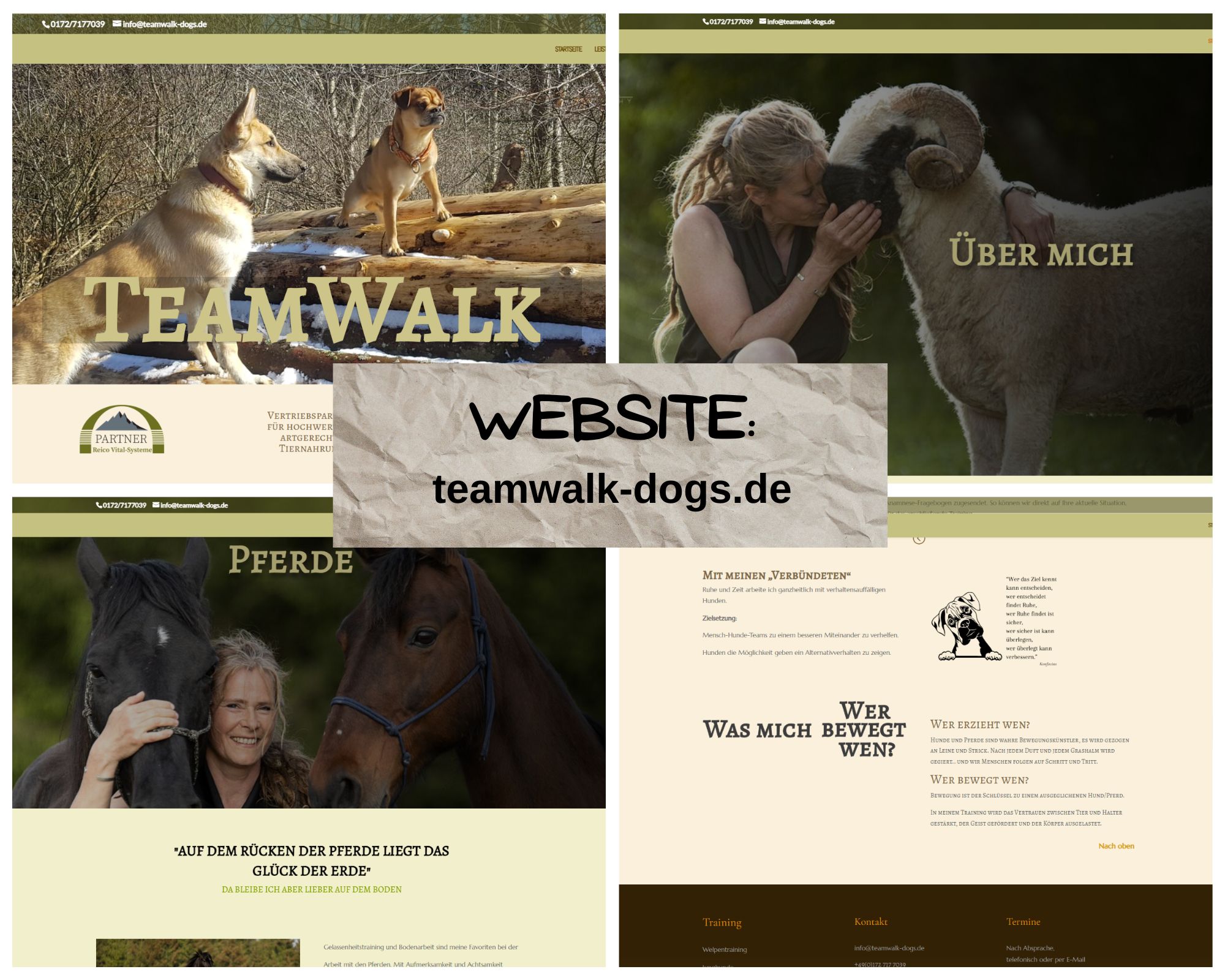 bildercollage von website einer hundetrainerin