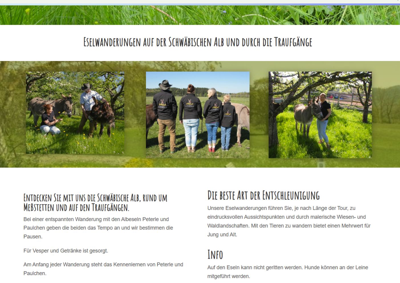 screenshot der website von albesel